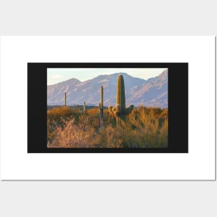 Sonoran Desert Sunset Posters and Art